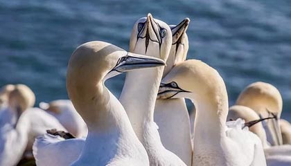 开云体育登陆入口-《《守望先锋》迎来重大平衡调整，新英雄“未来之光”亮相》，守望先锋2022